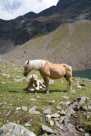 Kühtai