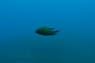 Unter Wasser